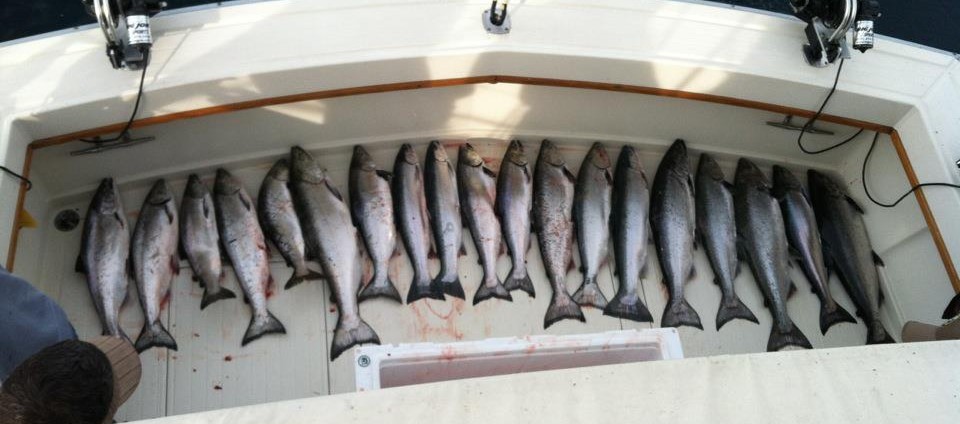 The catch is only one indicator of the best charter fishing on Lake Michigan.